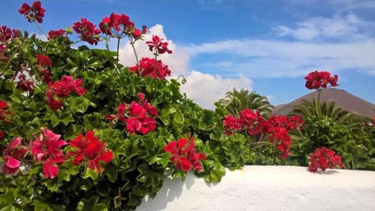 Cozy House In El Golfo + Terrace Villa Ngoại thất bức ảnh